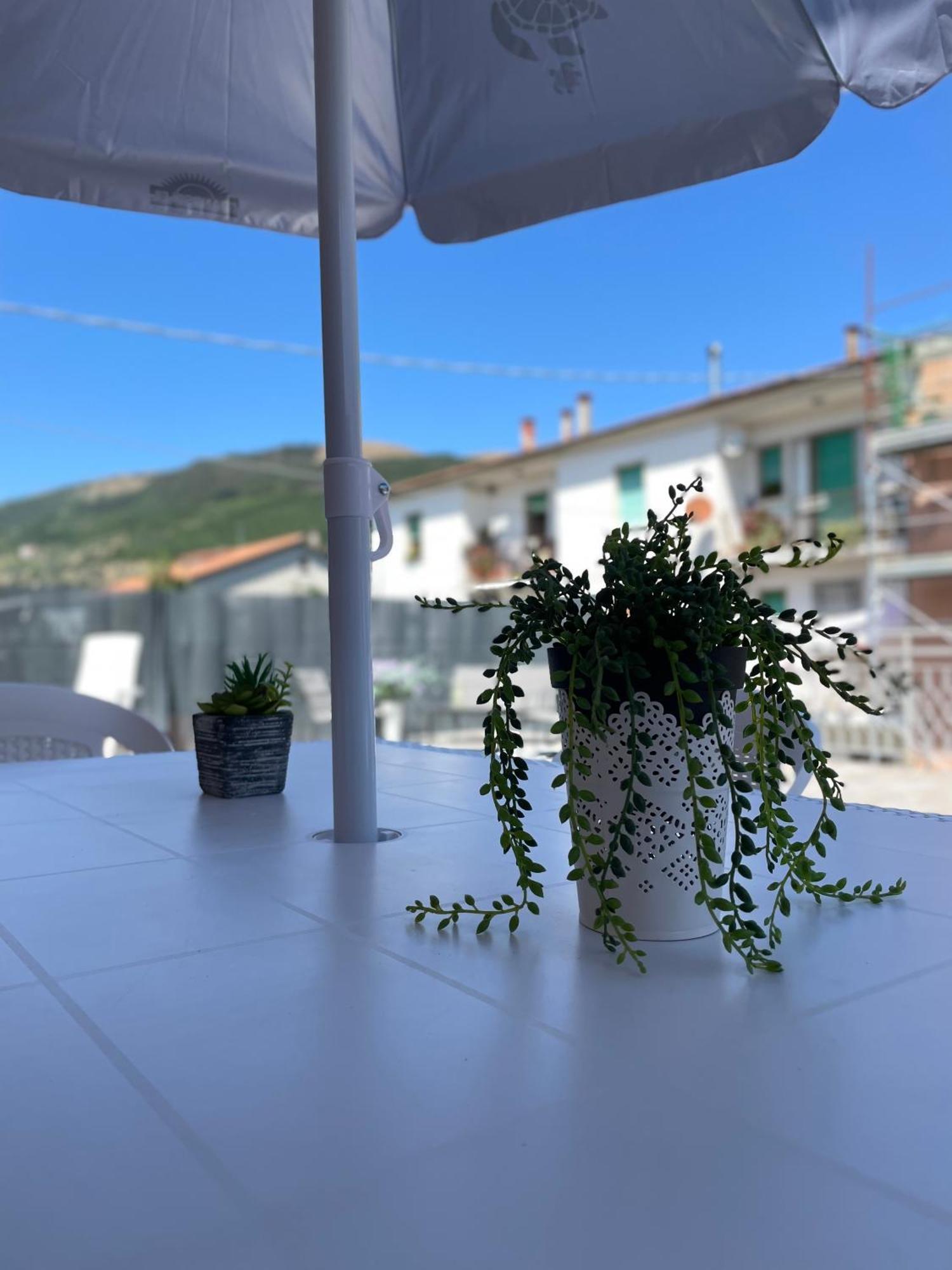 Appartement La Signora Dei Fiori à Gubbio Extérieur photo